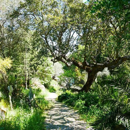 Serra Vida - A Place Of Presence Santo António das Areias المظهر الخارجي الصورة