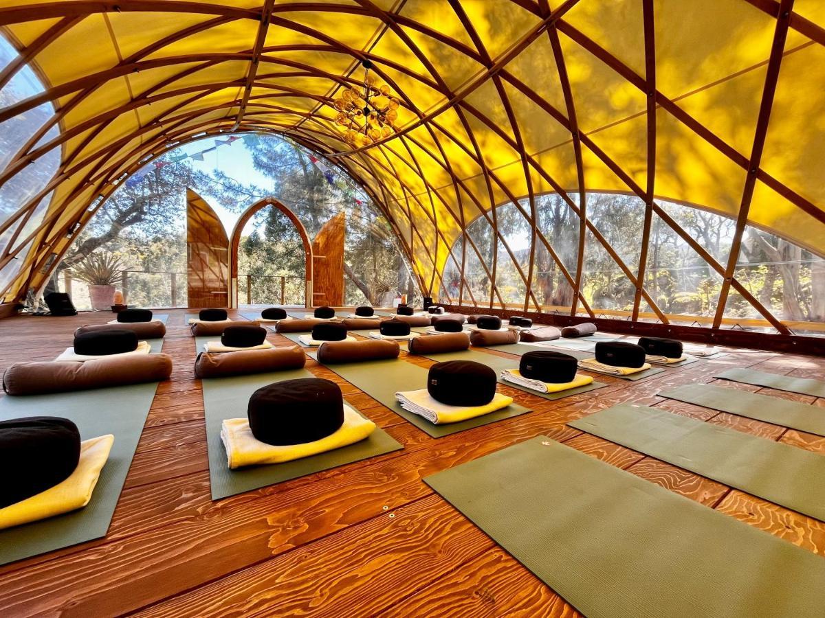 Serra Vida - A Place Of Presence Santo António das Areias المظهر الخارجي الصورة