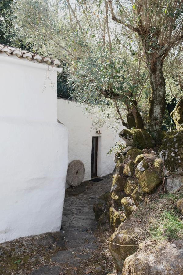 Serra Vida - A Place Of Presence Santo António das Areias المظهر الخارجي الصورة