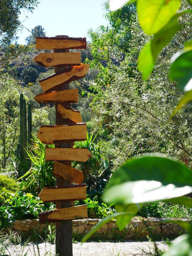 Serra Vida - A Place Of Presence Santo António das Areias المظهر الخارجي الصورة