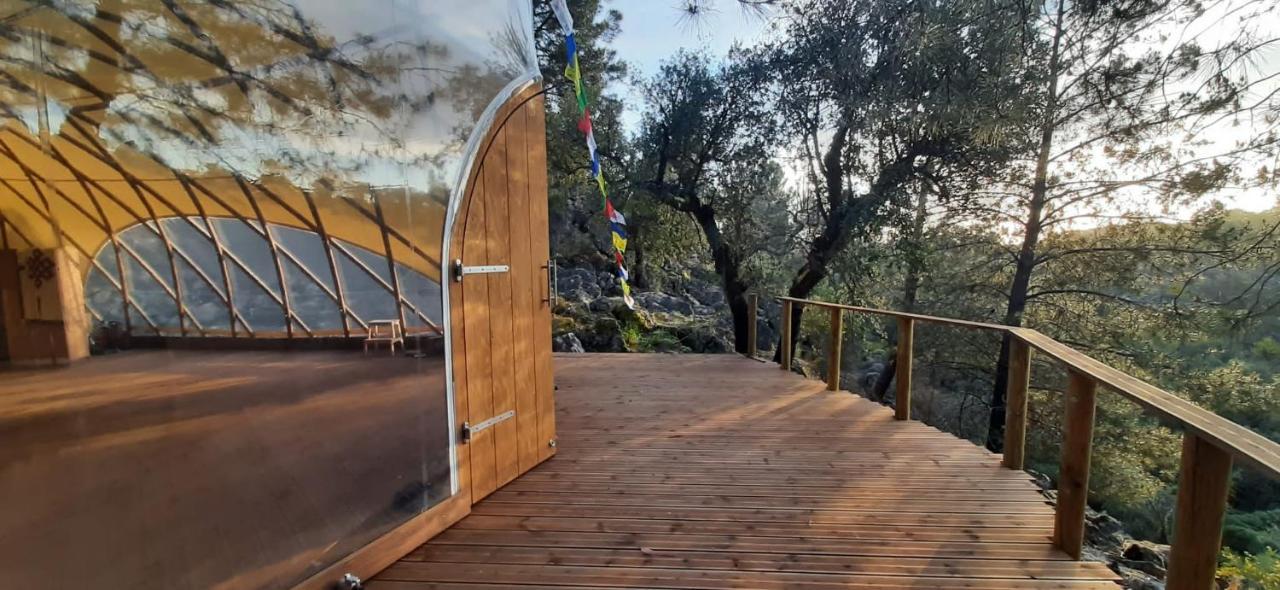 Serra Vida - A Place Of Presence Santo António das Areias المظهر الخارجي الصورة