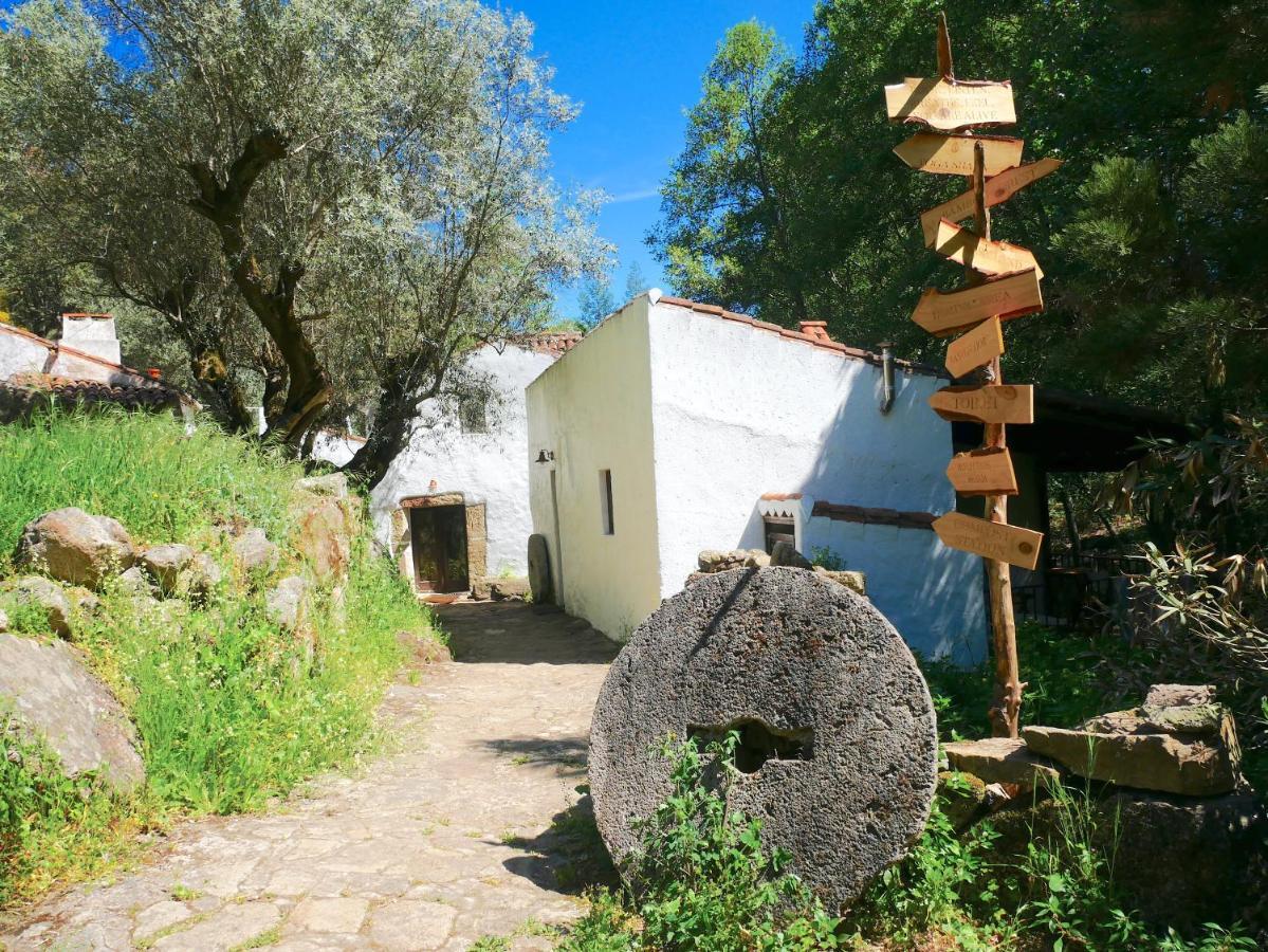 Serra Vida - A Place Of Presence Santo António das Areias المظهر الخارجي الصورة