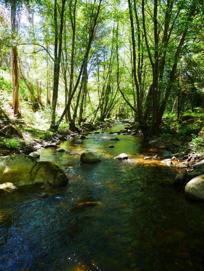 Serra Vida - A Place Of Presence Santo António das Areias المظهر الخارجي الصورة