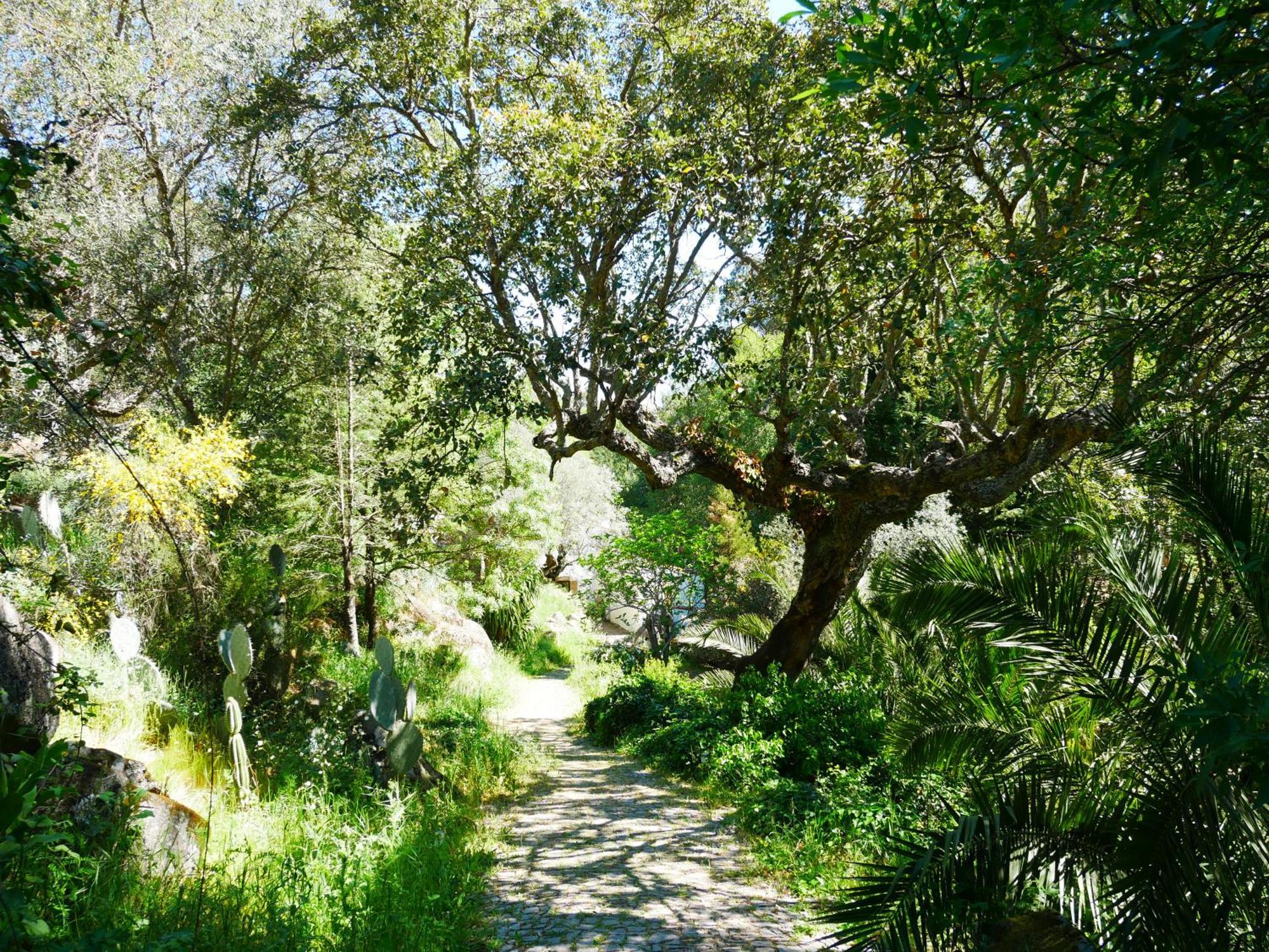 Serra Vida - A Place Of Presence Santo António das Areias المظهر الخارجي الصورة