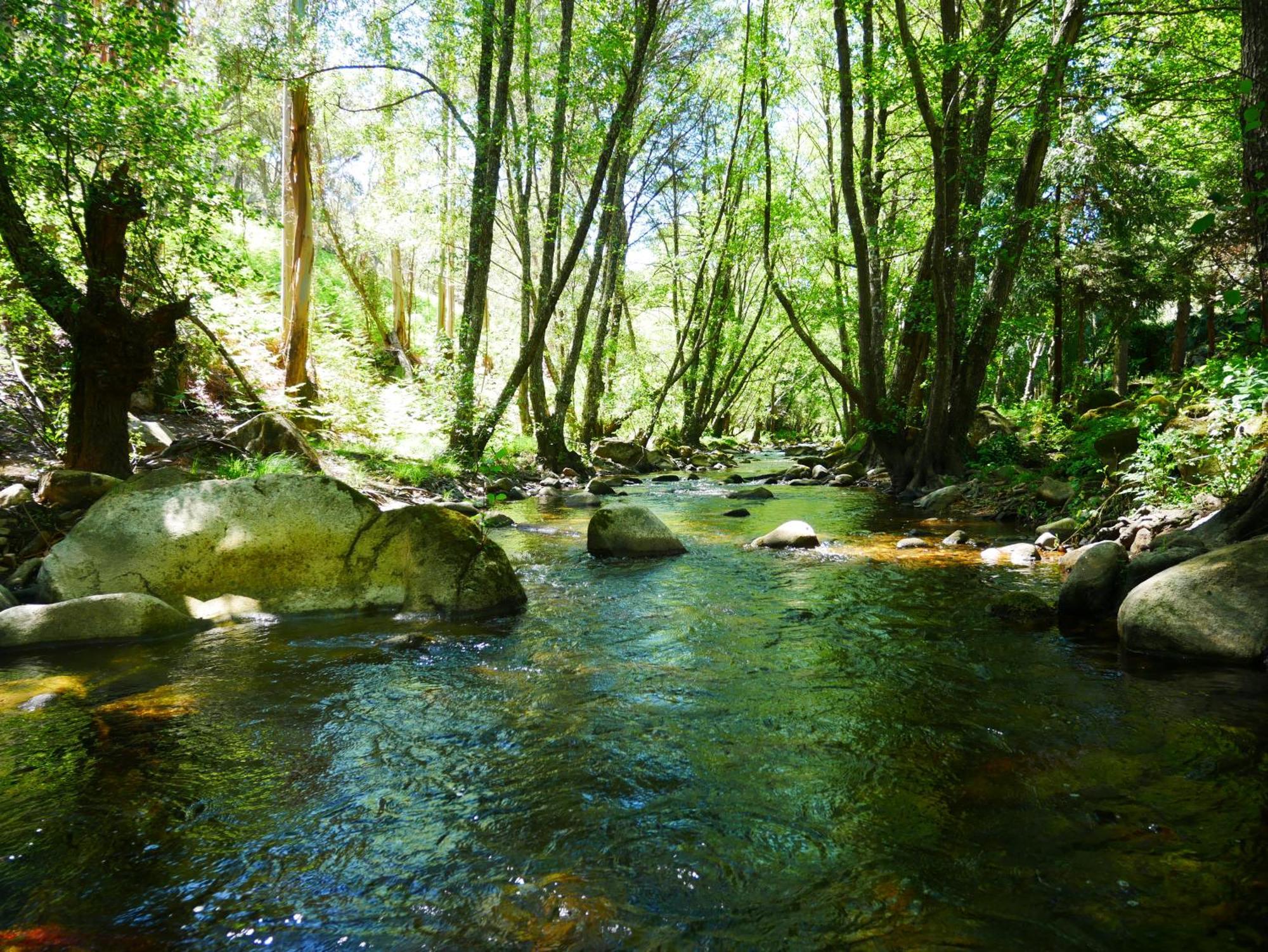 Serra Vida - A Place Of Presence Santo António das Areias المظهر الخارجي الصورة